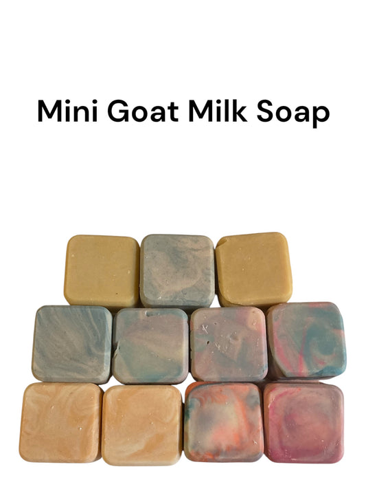 Mini Goat Milk Soaps